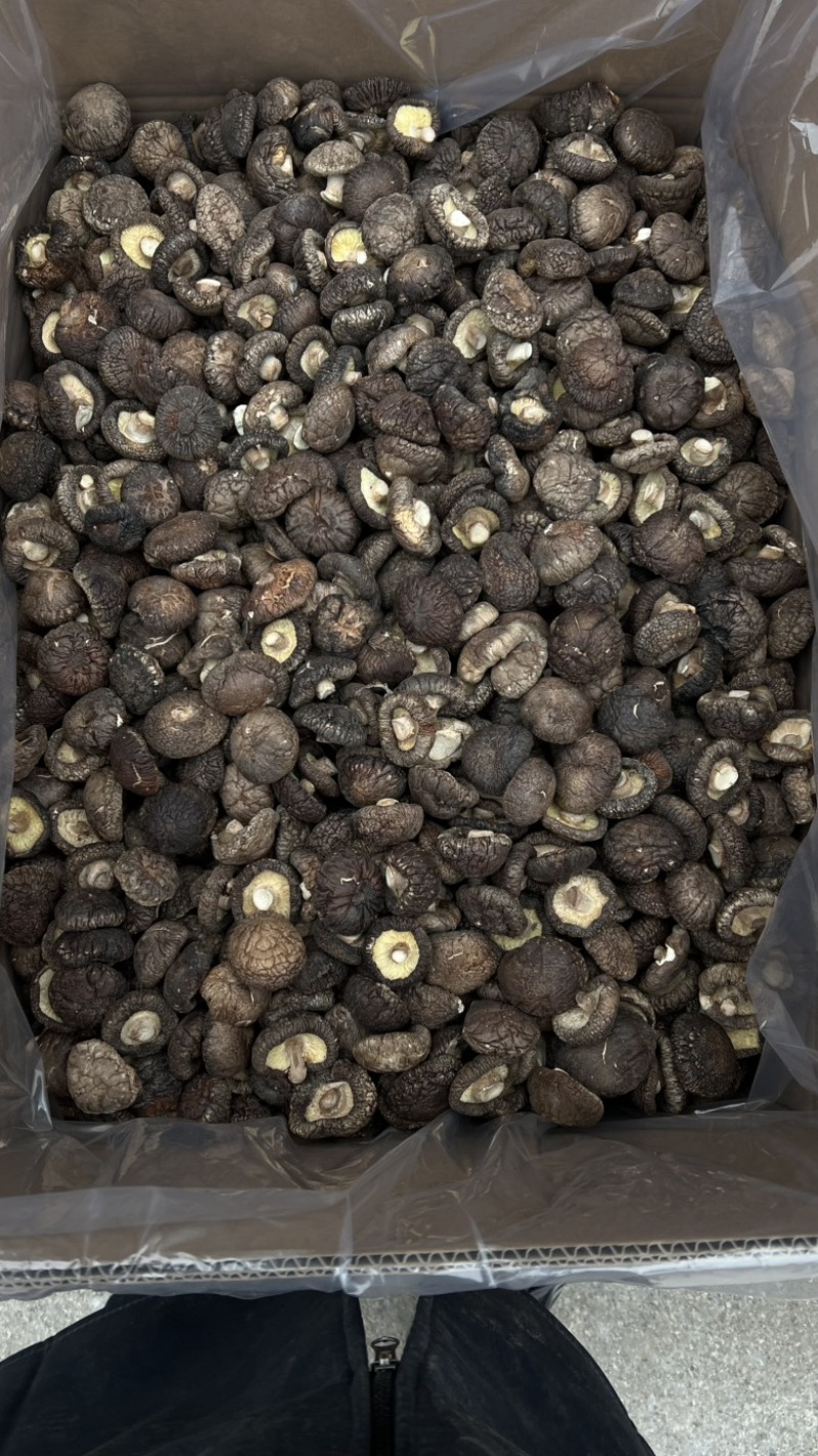 黑面香菇各种规格全国发货