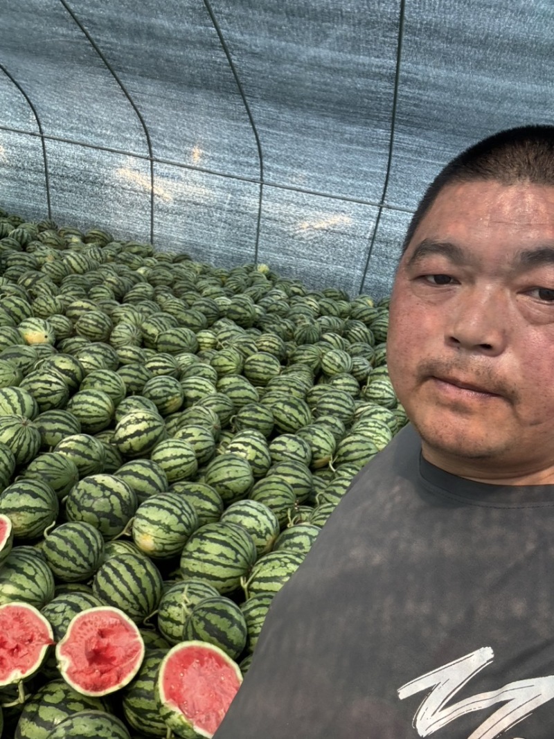 【实力】河南夏邑麒麟西瓜，货源充足，品质保证