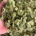 中药材金银花叶1公斤,忍冬藤叶,纯干产品,自然晾晒,当季新货