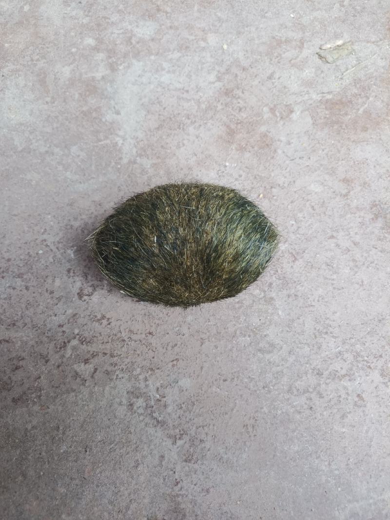 猪宝云南大理猪宝，精品货，阴干完成，质量保证，上等货