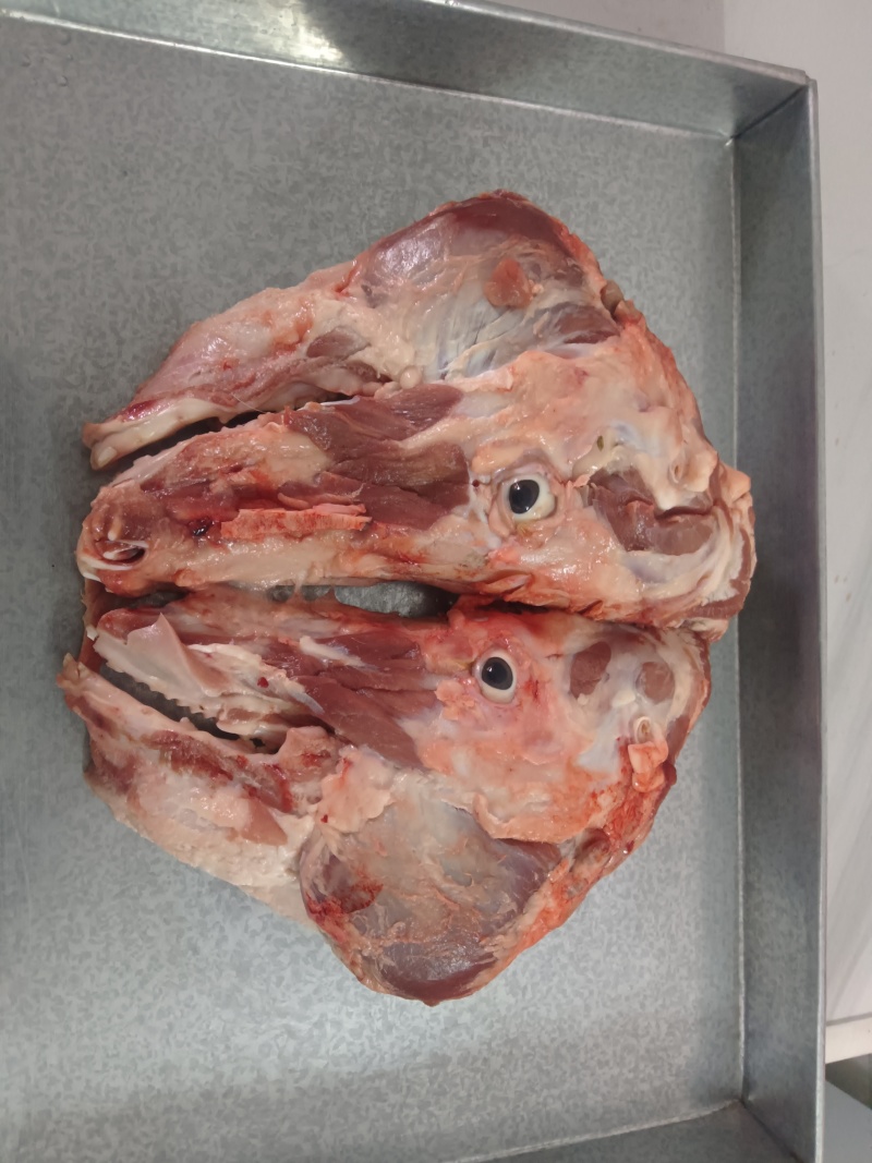 带肉猪头骨