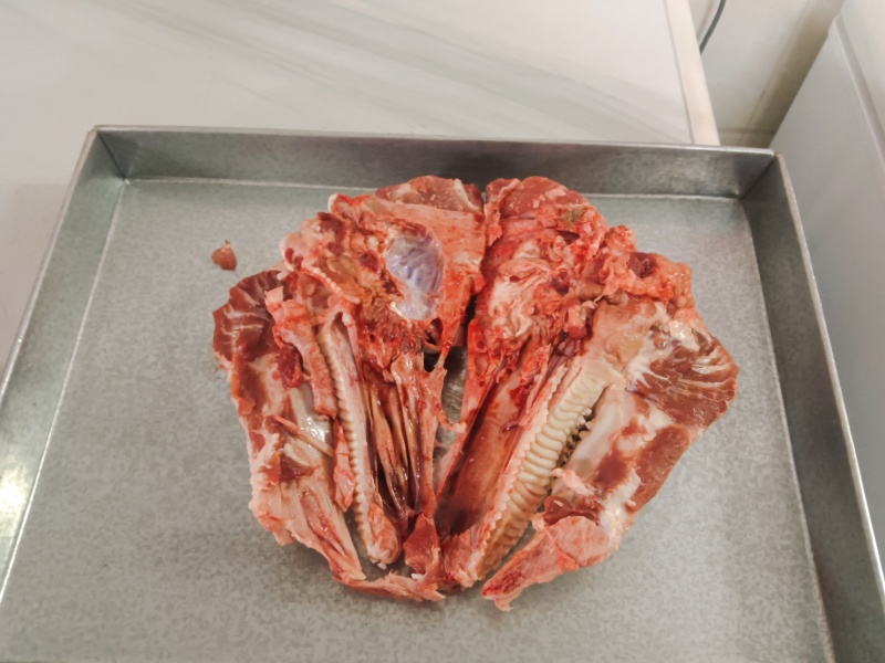 带肉猪头骨