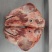 带肉猪头骨