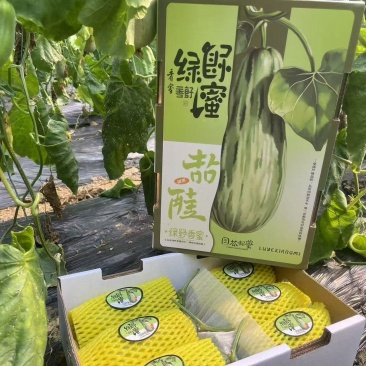 蜜源18基地直发甜瓜羊角蜜甜瓜口感佳品质高欢迎联系