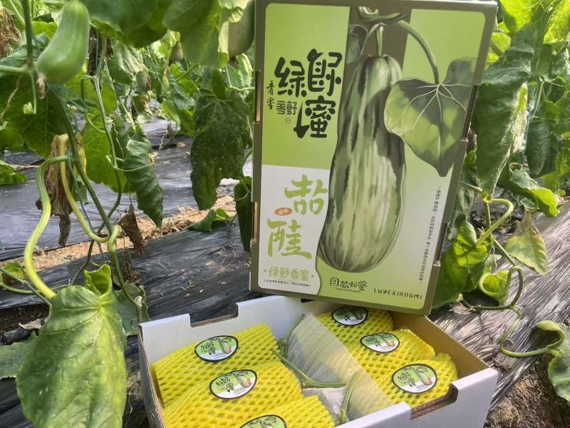 蜜源18基地直发甜瓜羊角蜜甜瓜口感佳品质高欢迎联系