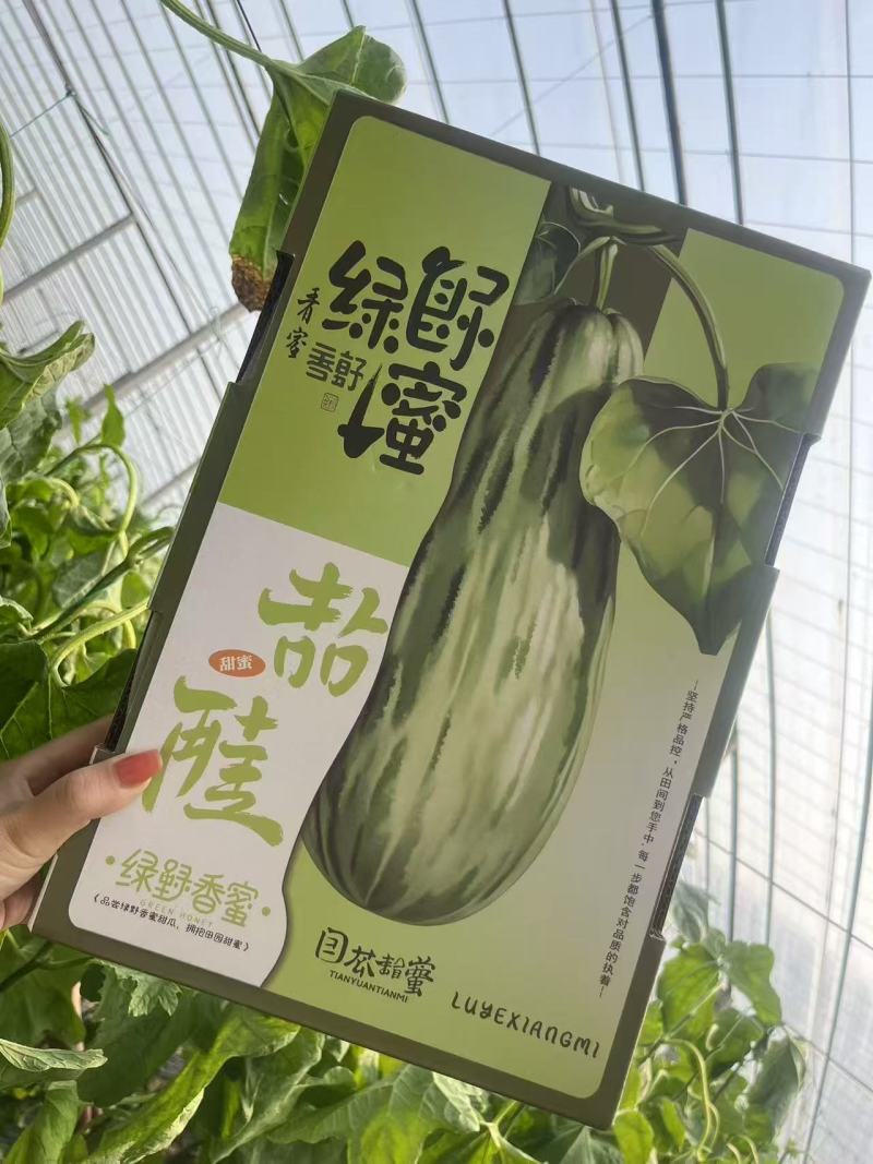 蜜源18基地直发甜瓜羊角蜜甜瓜口感佳品质高欢迎联系