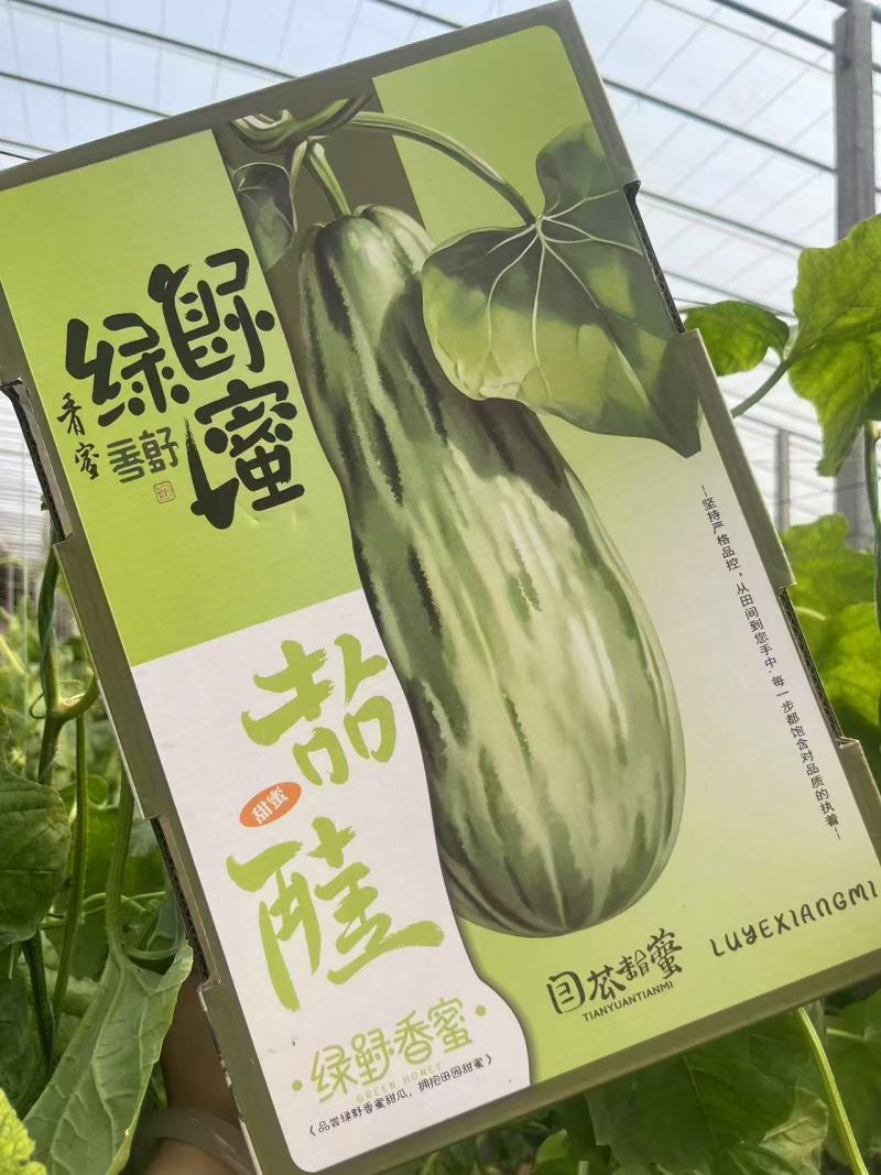 蜜源18基地直发甜瓜羊角蜜甜瓜口感佳品质高欢迎联系