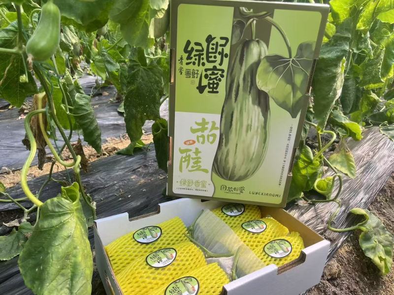 蜜源18基地直发甜瓜羊角蜜甜瓜口感佳品质高欢迎联系