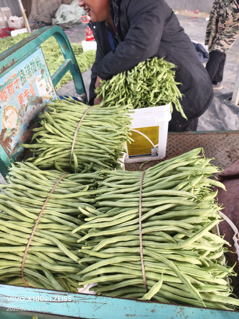 产地无丝豆大量供货超市货电商货，市场货都有可以长期供货