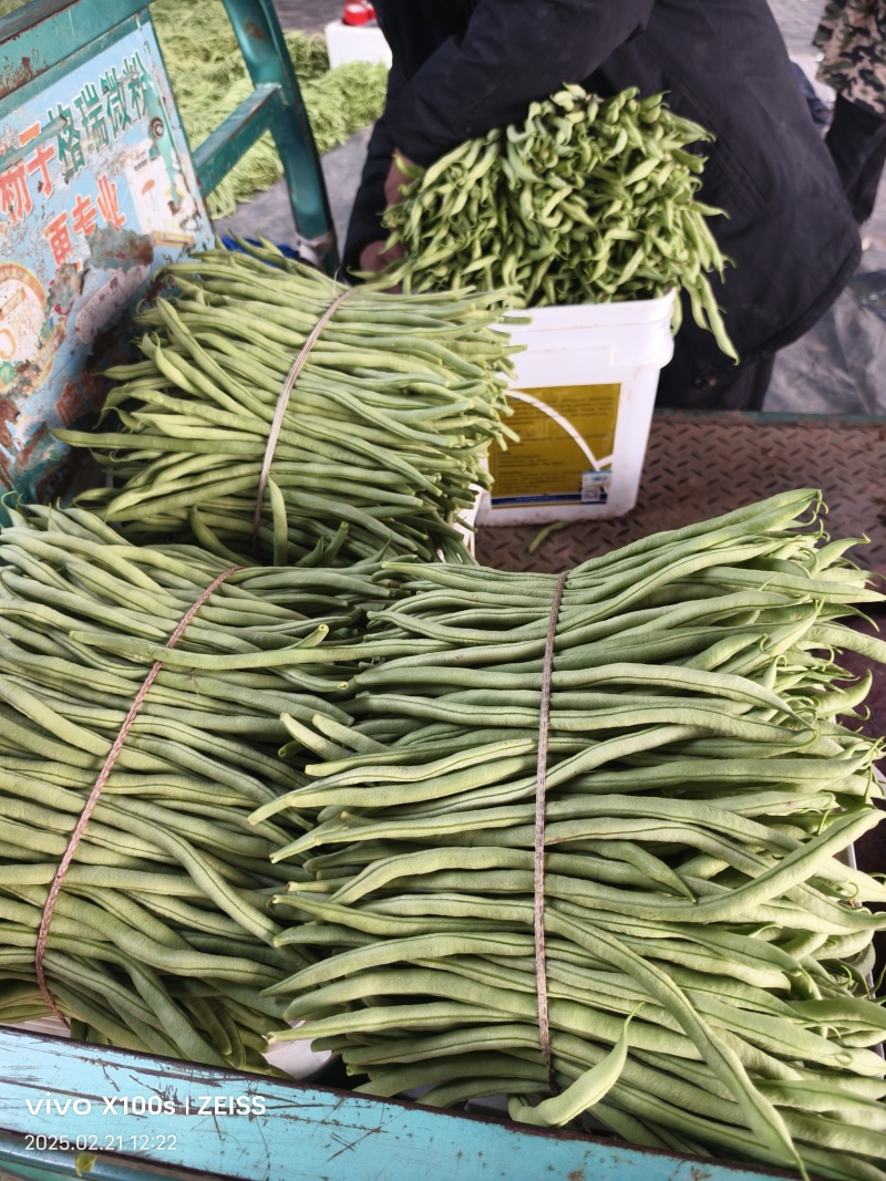 产地无丝豆大量供货超市货电商货，市场货都有可以长期供货