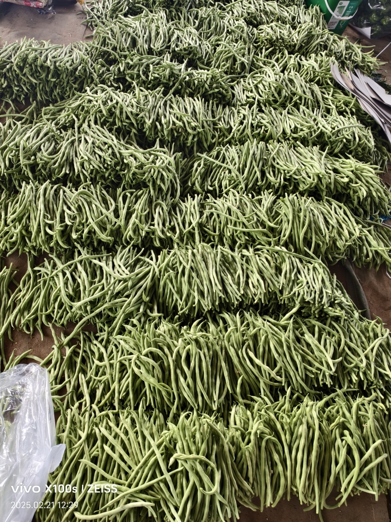 产地无丝豆大量供货超市货电商货，市场货都有可以长期供货
