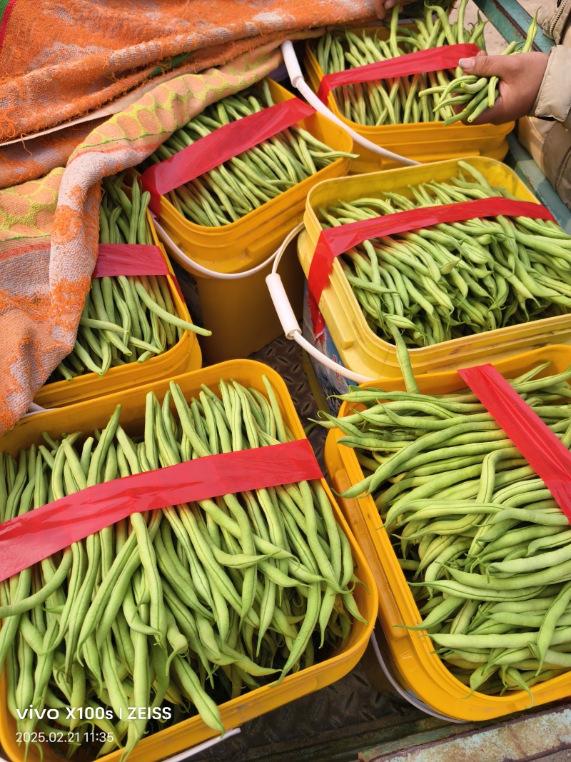 产地无丝豆大量供货超市货电商货，市场货都有可以长期供货