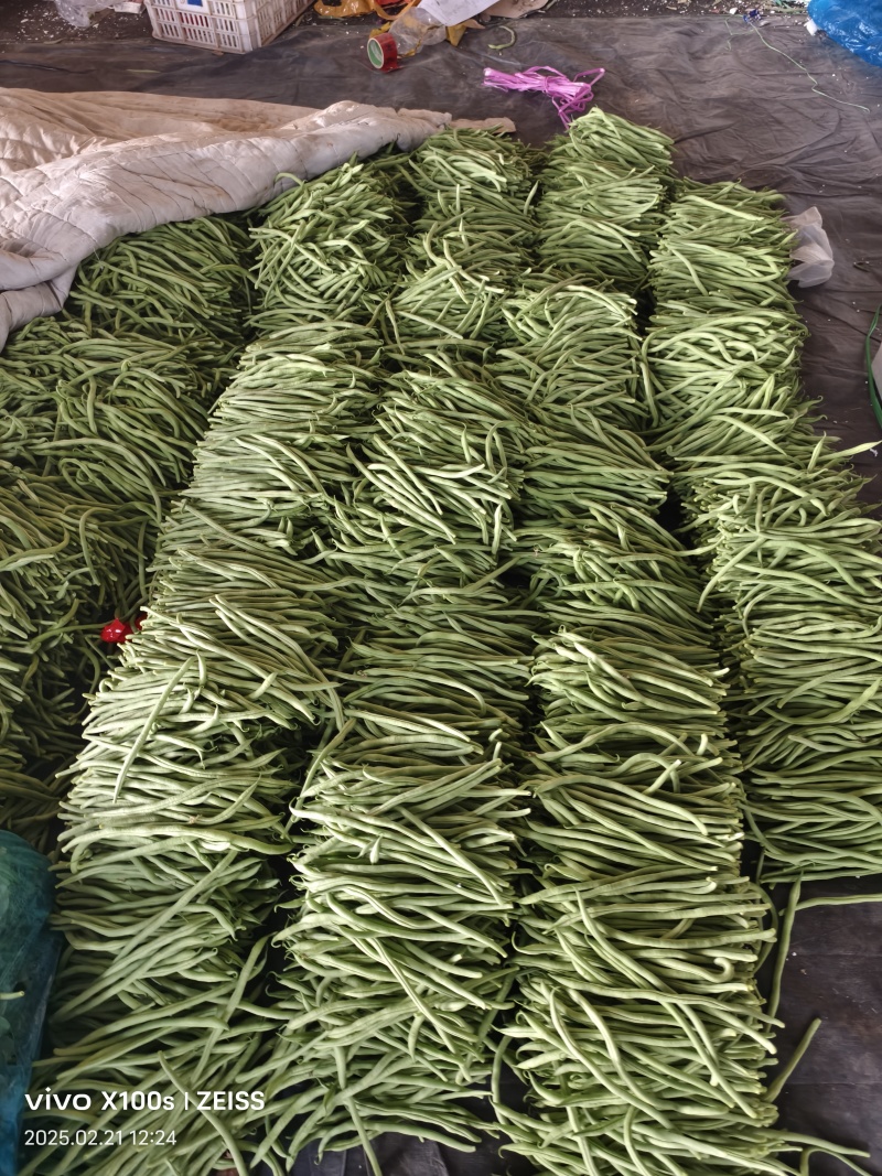 产地无丝豆大量供货超市货电商货，市场货都有可以长期供货