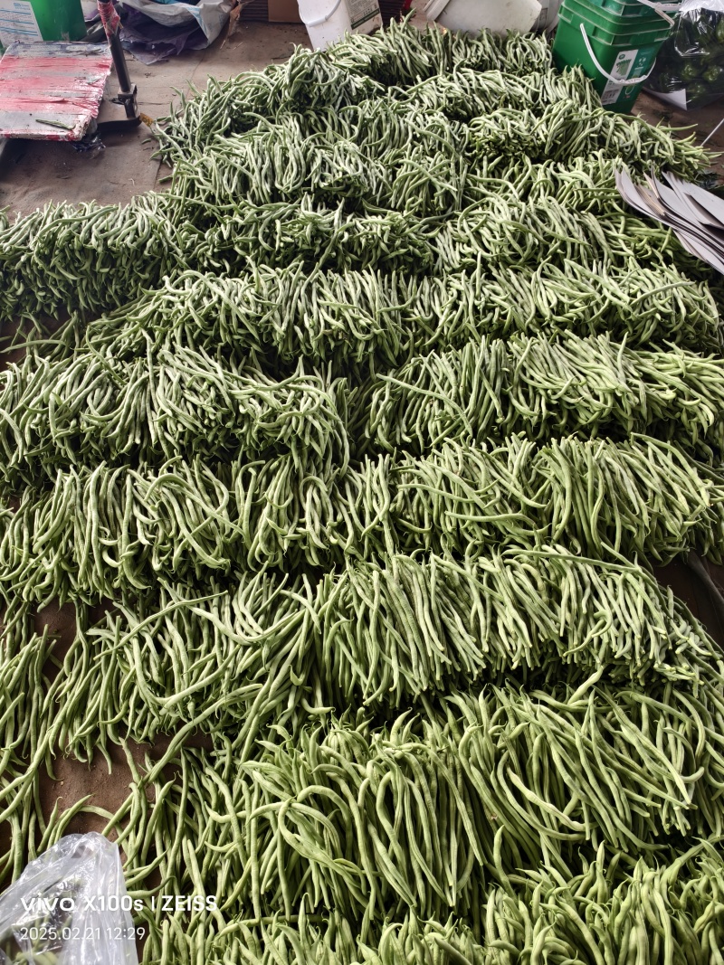 产地无丝豆大量供货超市货电商货，市场货都有可以长期供货