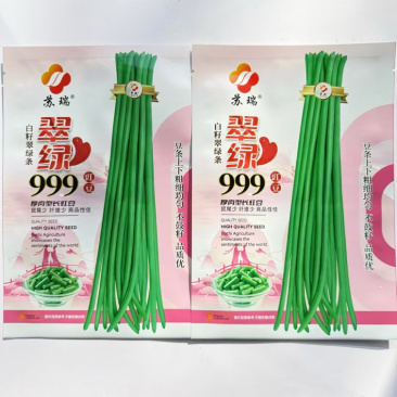 翠绿999豇豆种子长豆角种子耐高温早熟荚翠绿