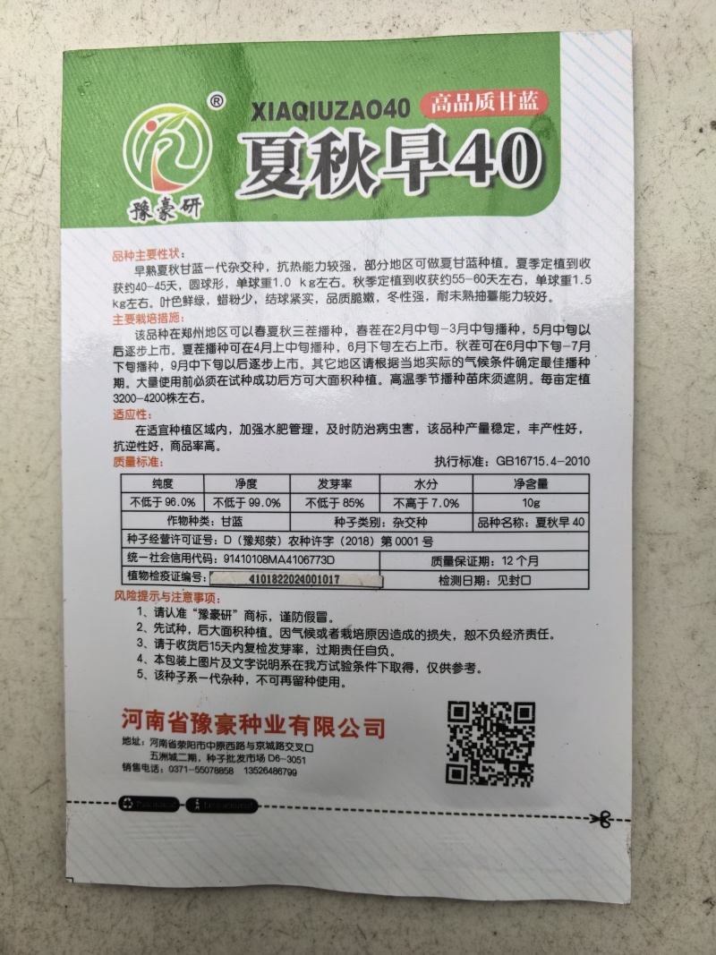 夏秋早40甘蓝种子早熟绿球黄心耐热耐抽苔夏播45天春秋