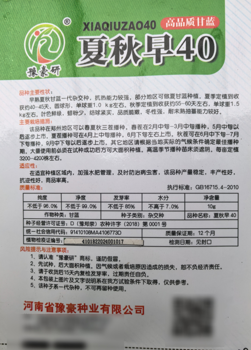 夏秋早40甘蓝种子早熟绿球黄心耐热耐抽苔夏播45天春秋