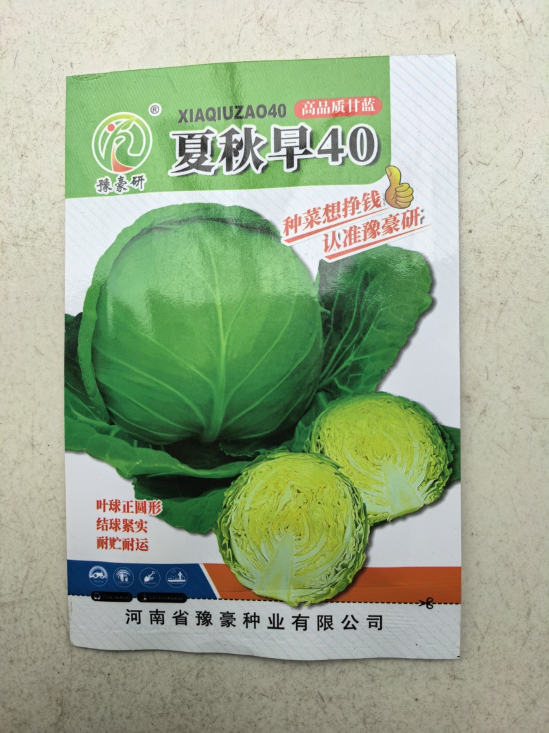 夏秋早40甘蓝种子早熟绿球黄心耐热耐抽苔夏播45天春秋
