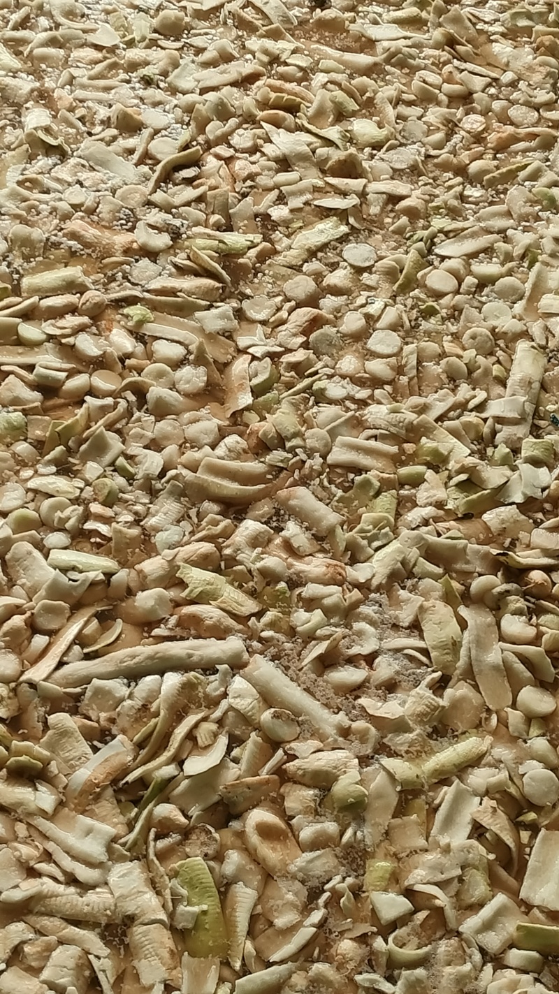 腌制萝卜萝卜咸菜白萝卜皮白萝卜碎白萝卜咸菜