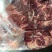 牛碎肉块大适合炒菜炖锅做馅一手货源支持样品