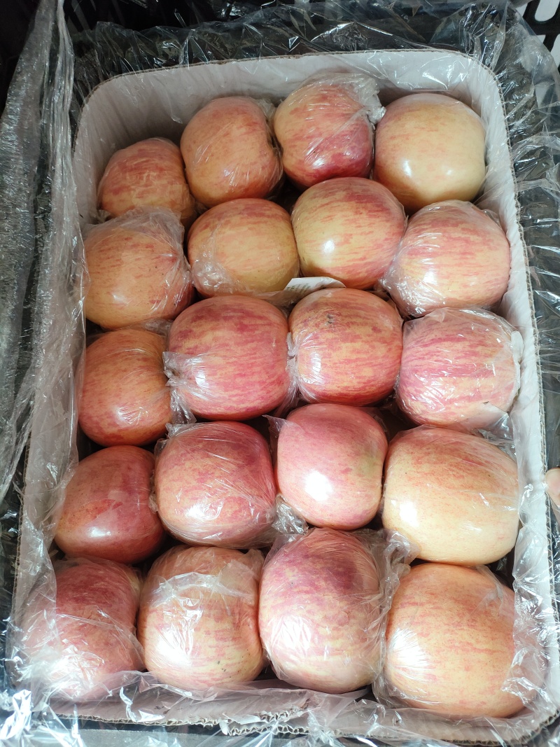 酥梨