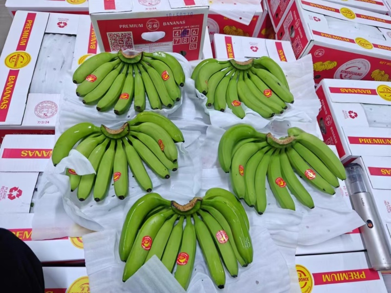 特价青蕉进口香蕉芭蕉视频看货欢迎咨询