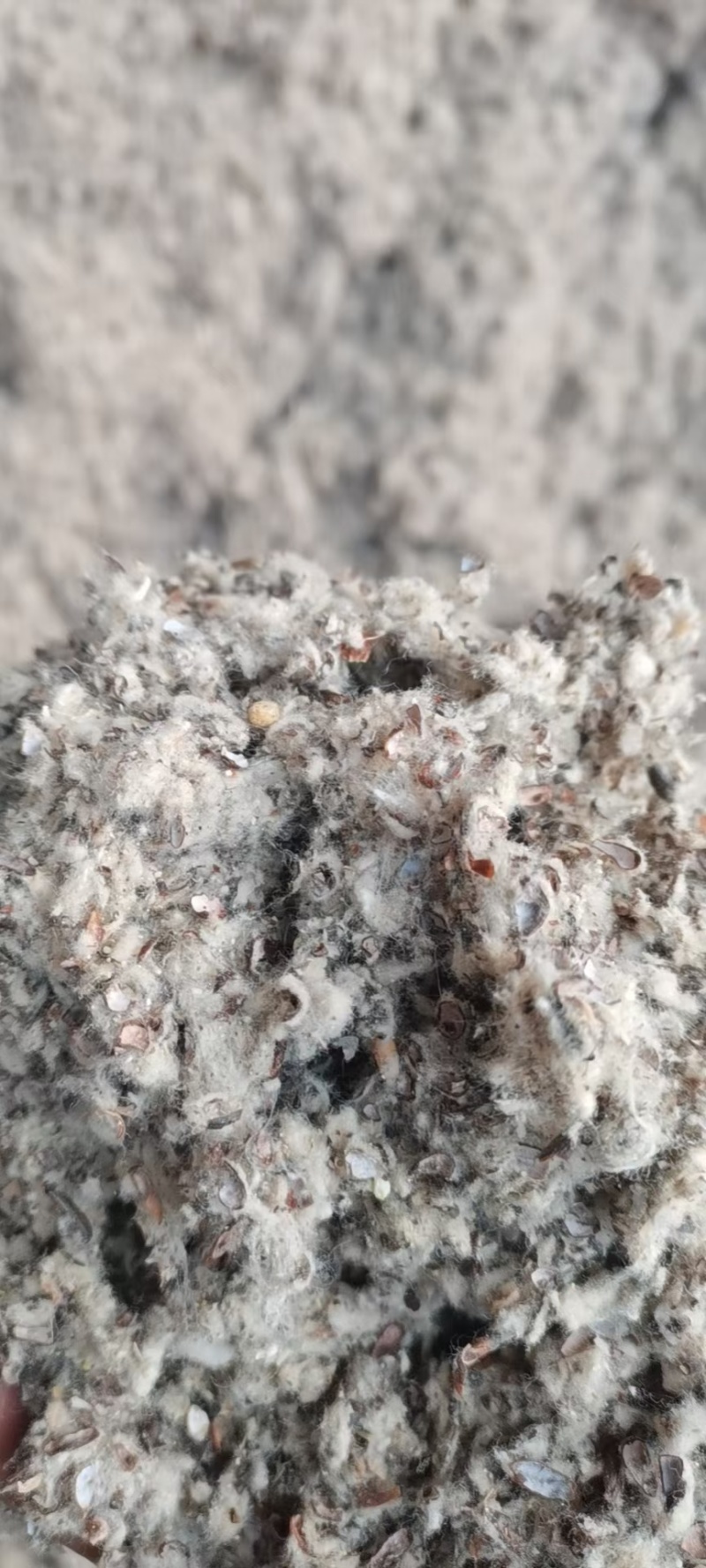 新疆，阿克苏山东，河北，分别磨盘棉籽壳厂，中壳中绒棉籽壳