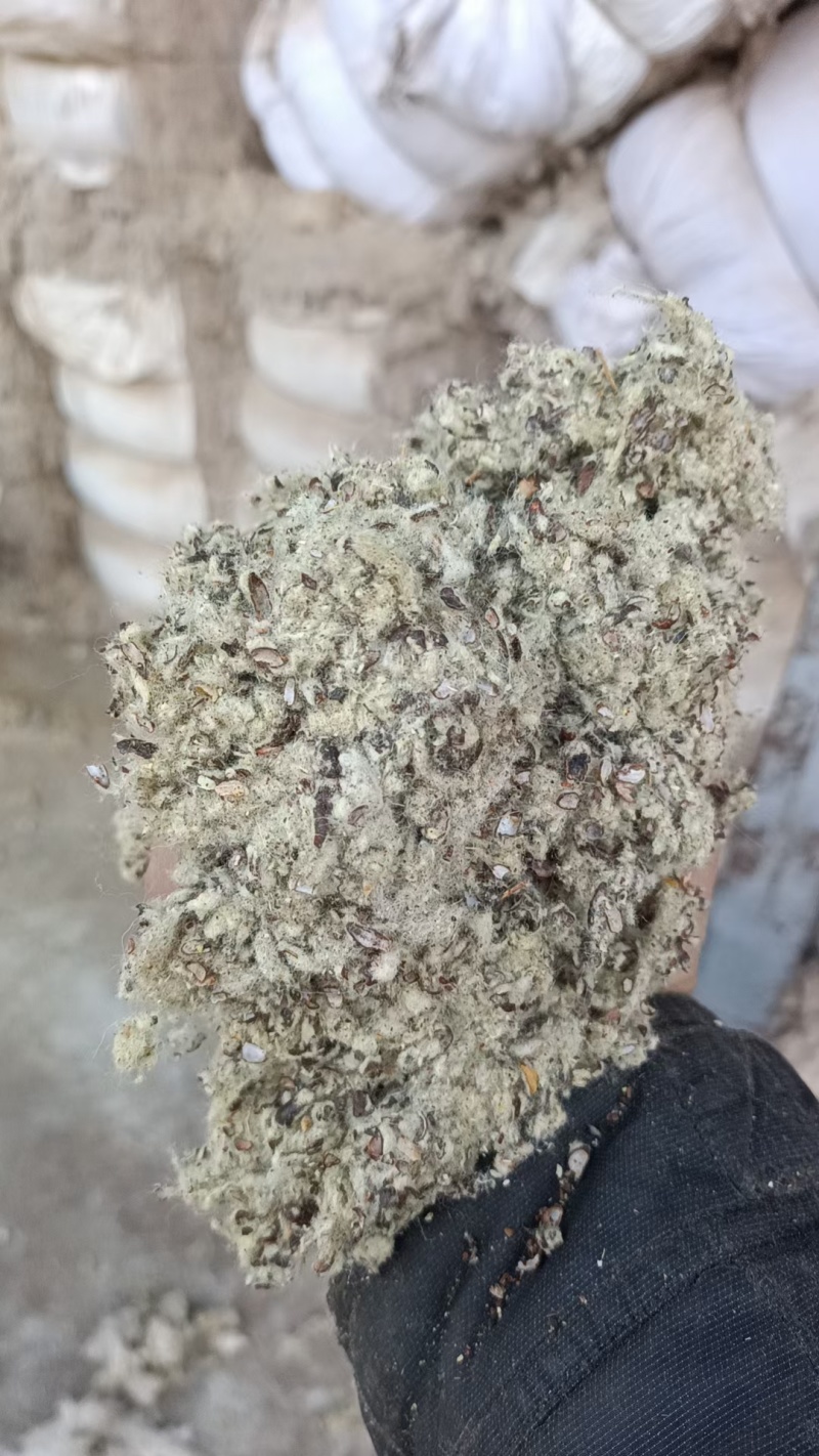 新疆，阿克苏山东，河北，分别磨盘棉籽壳厂，中壳中绒棉籽壳