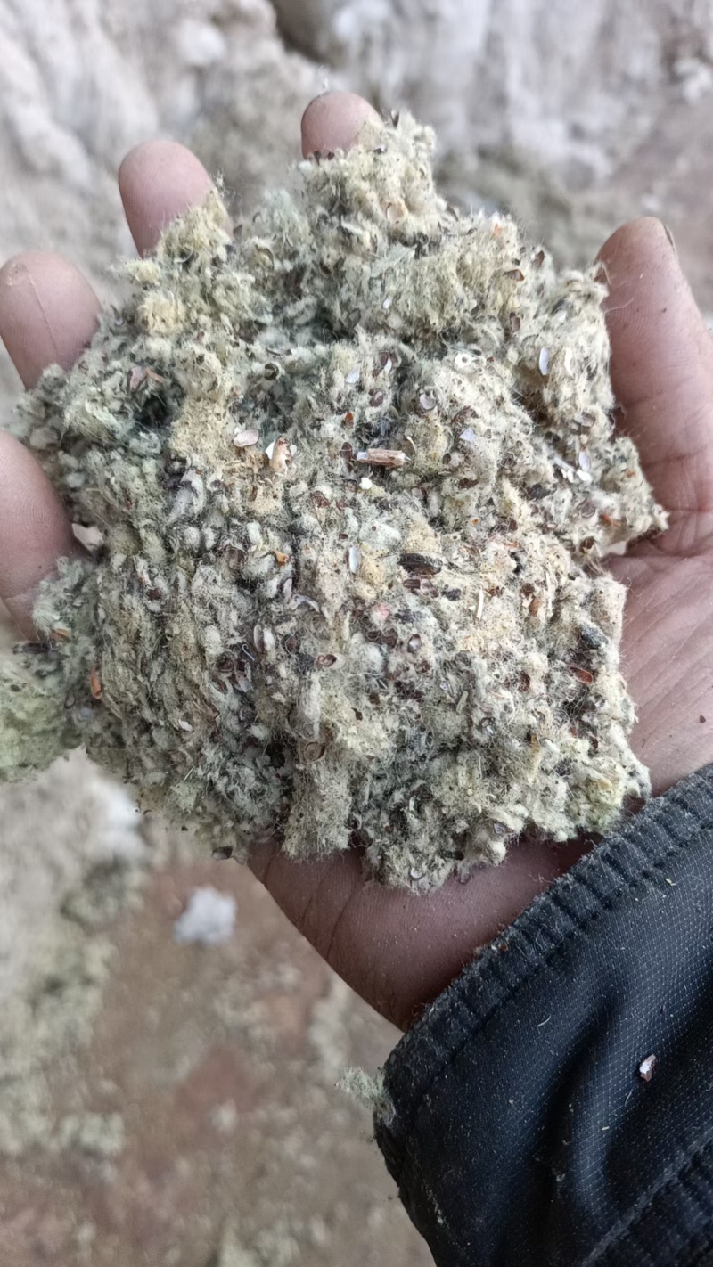 新疆，阿克苏山东，河北，分别磨盘棉籽壳厂，中壳中绒棉籽壳