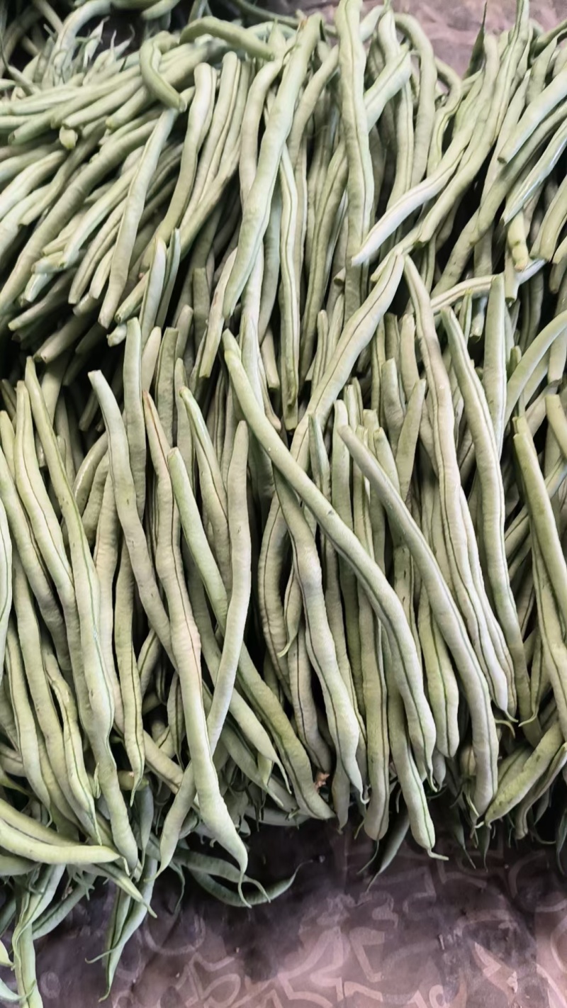 精品芸豆无丝豆