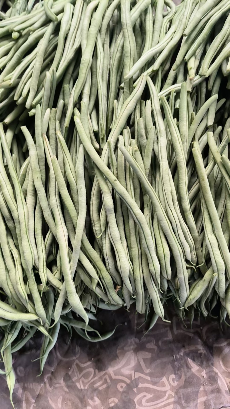 精品芸豆无丝豆