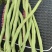 精品芸豆无丝豆
