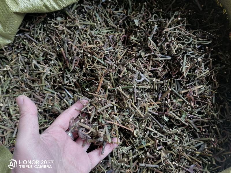 钩藤中药材含钩藤率60%通货产地贵州锦屏物流直达品质保