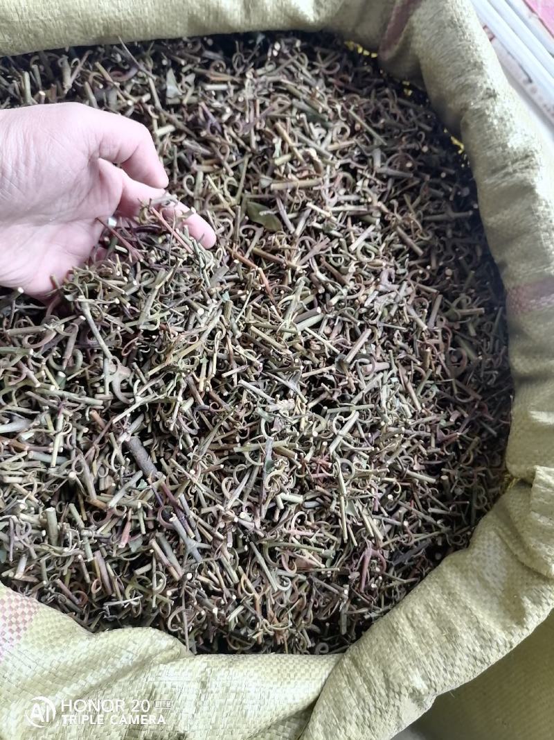钩藤中药材含钩藤率60%通货产地贵州锦屏物流直达品质保