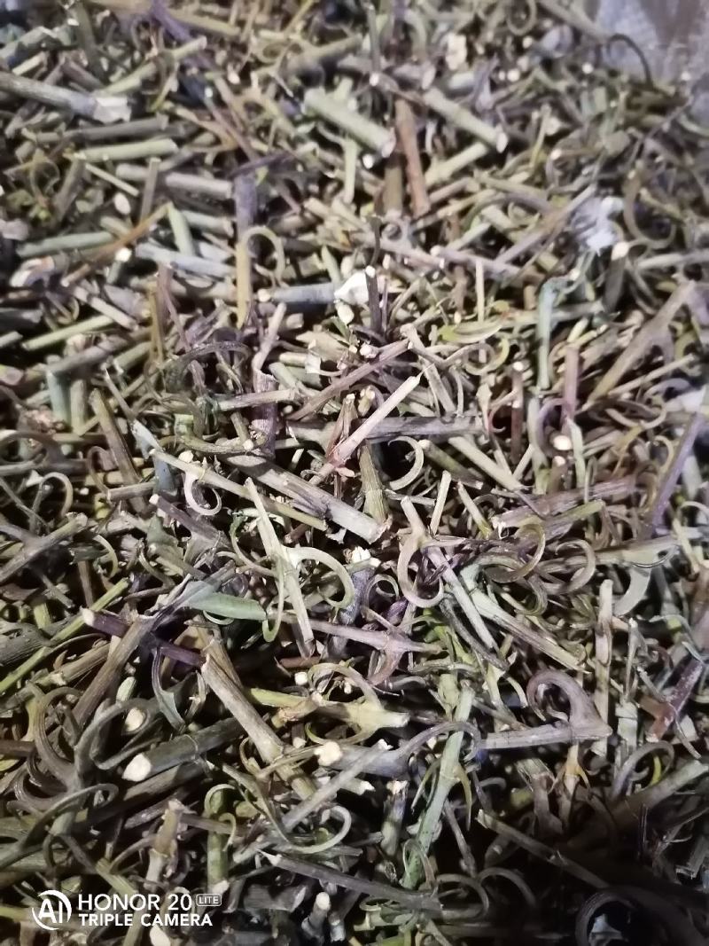 钩藤中药材含钩藤率60%通货产地贵州锦屏物流直达品质保