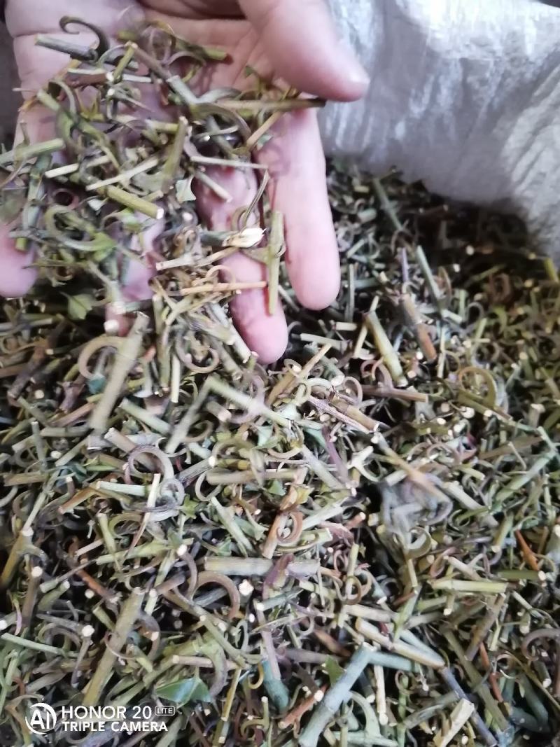 钩藤中药材含钩藤率60%通货产地贵州锦屏物流直达品质保