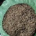 钩藤中药材含钩藤率60%通货产地贵州锦屏物流直达品质保