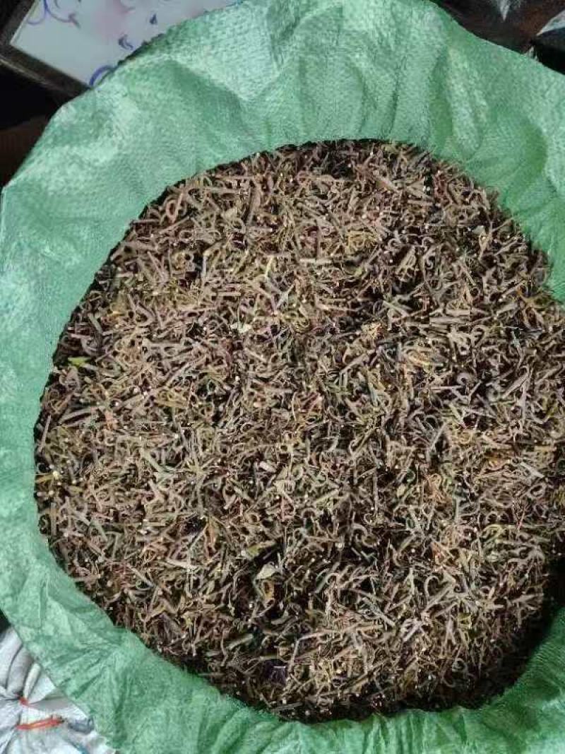钩藤中药材含钩藤率60%通货产地贵州锦屏物流直达品质保