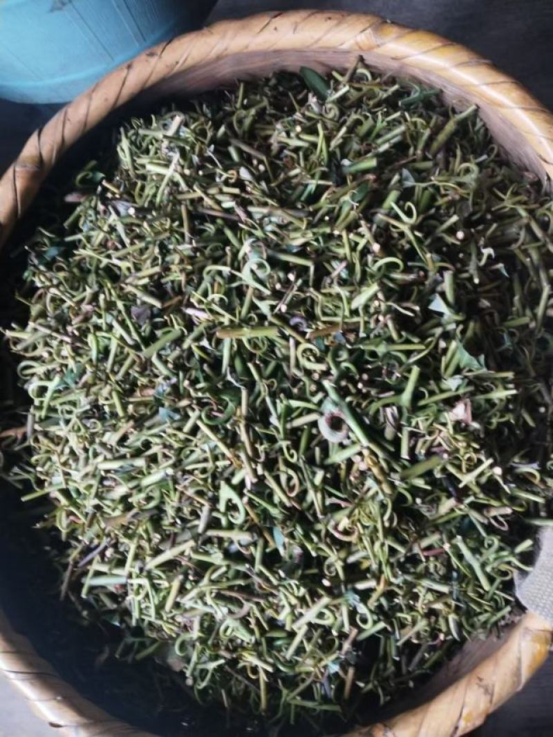 钩藤中药材含钩藤率60%通货产地贵州锦屏物流直达品质保