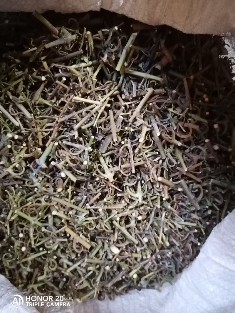 钩藤中药材含钩藤率60%通货产地贵州锦屏物流直达品质保