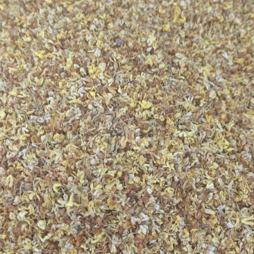 桂花各种花茶类药材