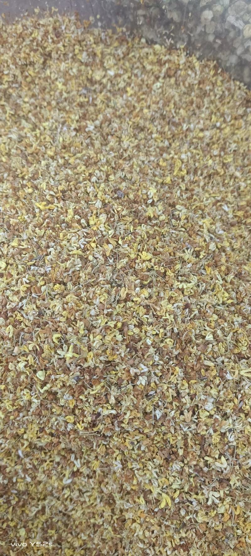 桂花各种花茶类药材