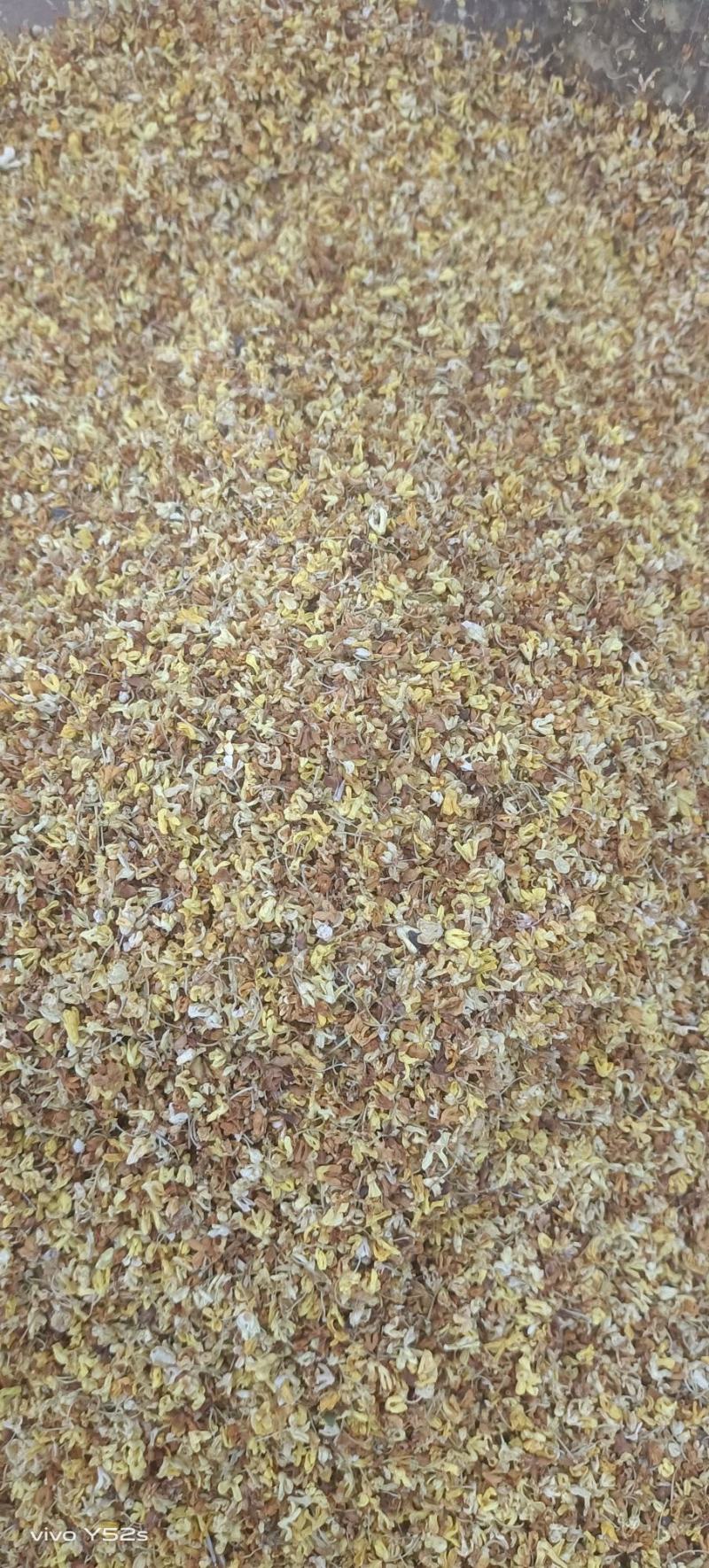 桂花各种花茶类药材