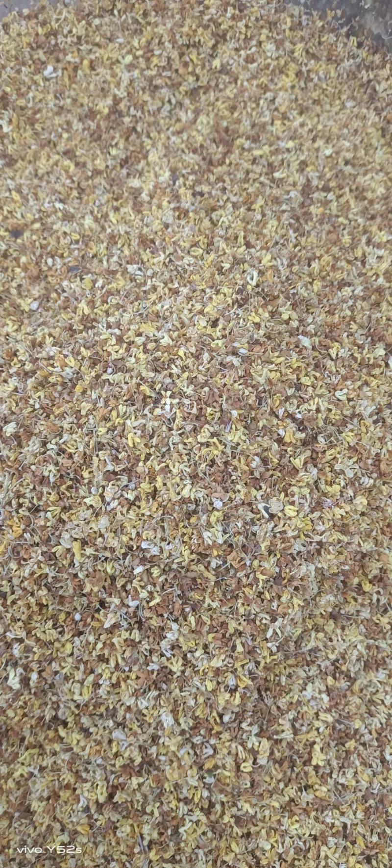 桂花各种花茶类药材