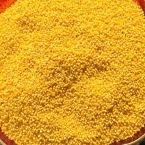 优质小米一手货源量大从优