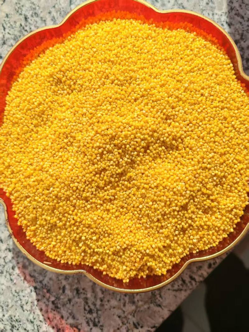 优质小米一手货源量大从优