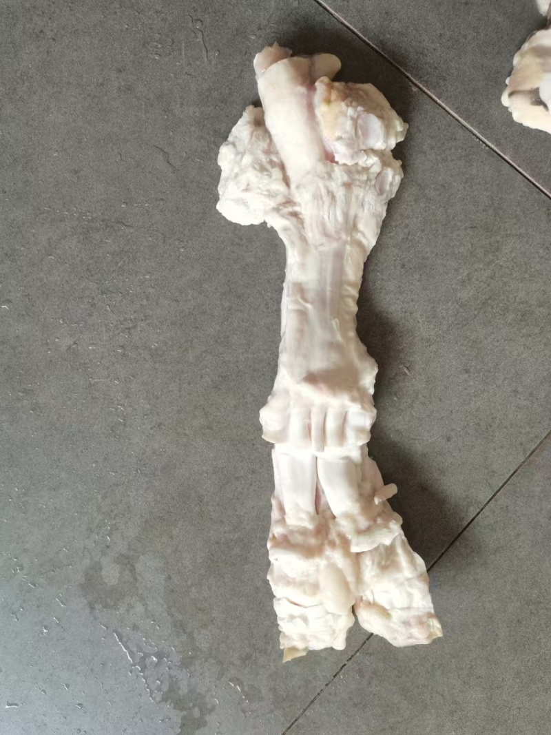 牛蹄筋主筋纯干活精修去脚趾源头厂家批发
