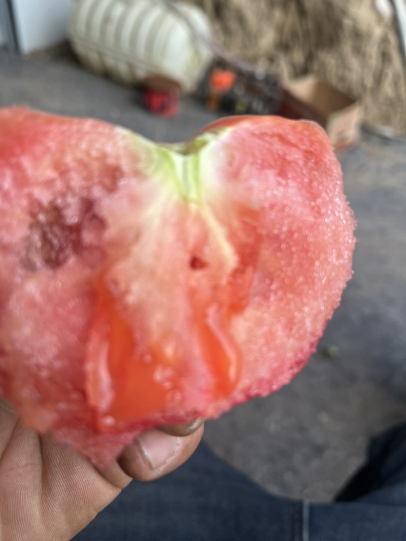 普罗旺斯西红柿