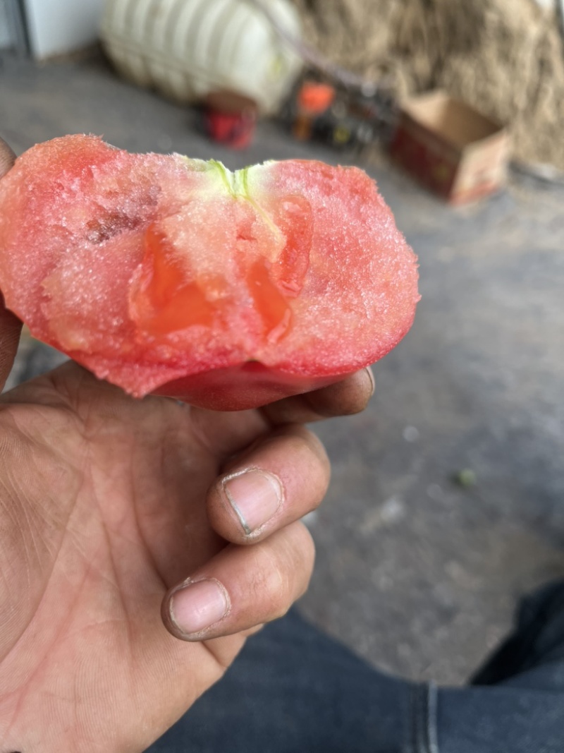 普罗旺斯西红柿