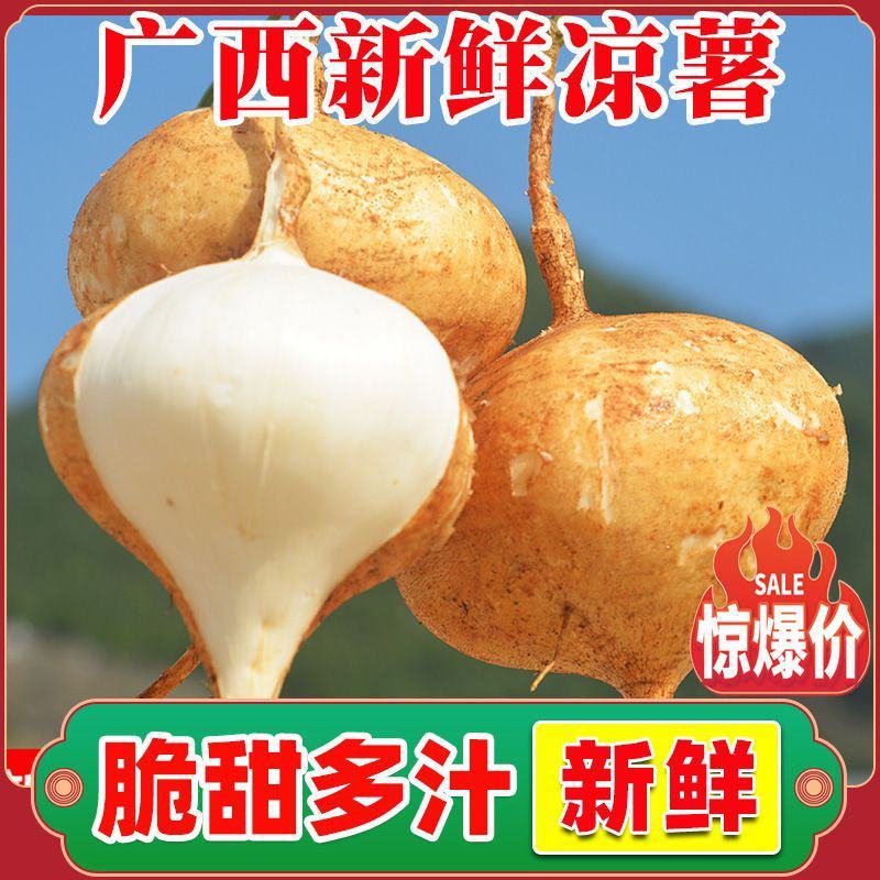 新鲜凉薯广西水果生吃特脆甜地萝卜贵州沙地葛薯白地瓜豆薯